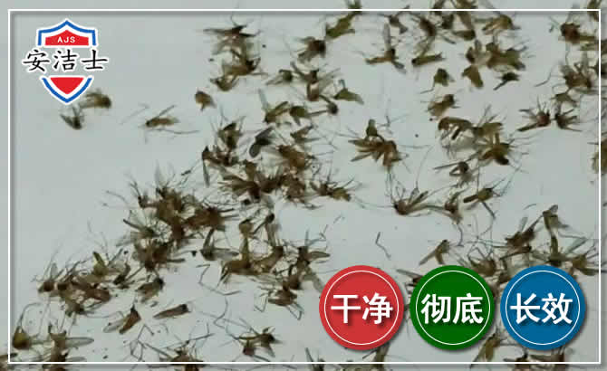 南浔区苍蝇防治-灭蝇
