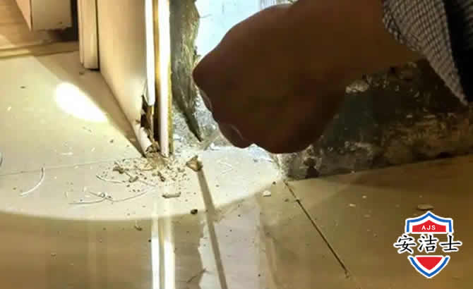 南浔区房屋建筑防治白蚁