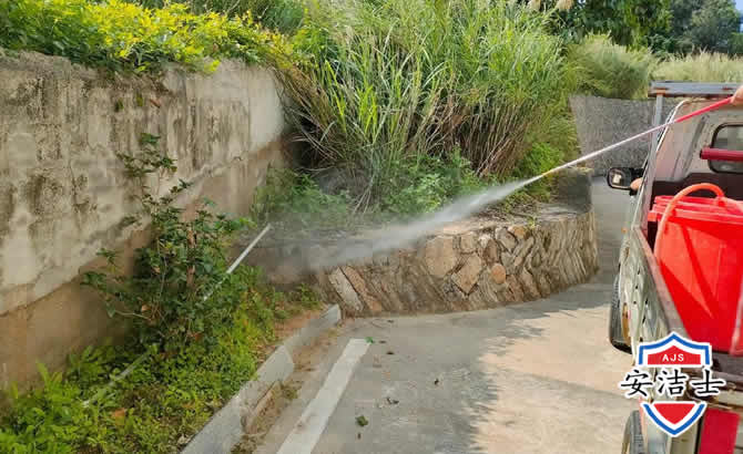 南浔区道路堤坝白蚁防治