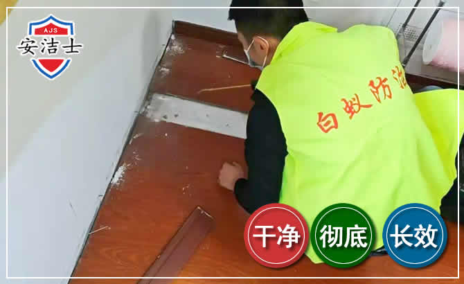 南浔区除四害现场