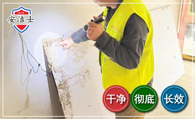 南浔区除白蚁现场