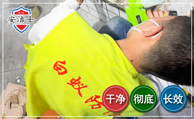 南浔区白蚁根治现场